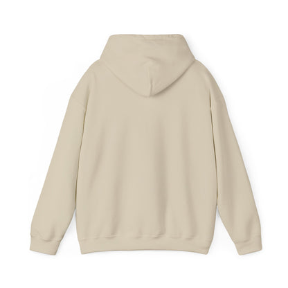 Sudadera con capucha unisex, sudadera Ocean Vibes, regalo para amantes de la playa, ropa de viaje, estilo de verano, perfecta para vacaciones
