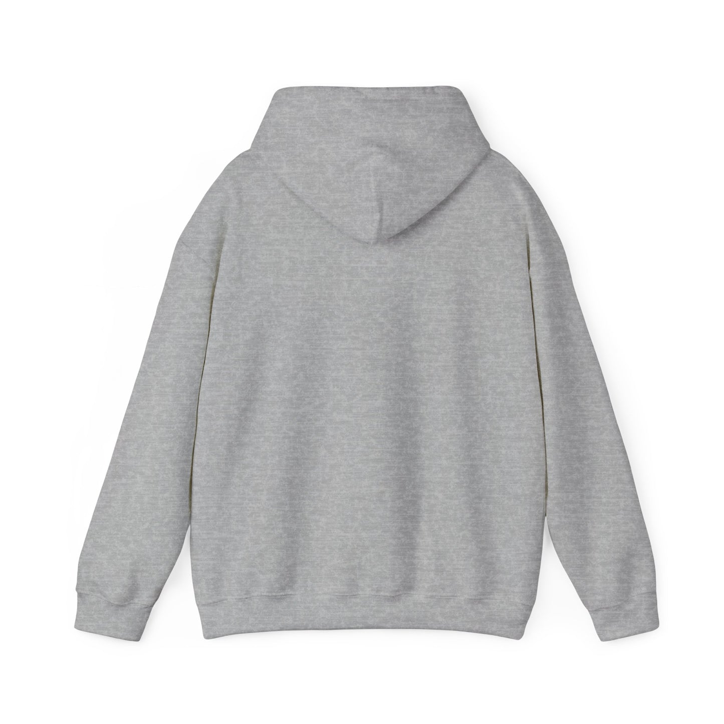 Sudadera con capucha unisex, sudadera Ocean Vibes, regalo para amantes de la playa, ropa de viaje, estilo de verano, perfecta para vacaciones