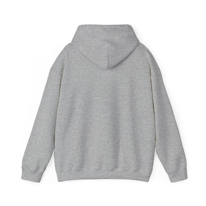 Sudadera con capucha unisex, sudadera Ocean Vibes, regalo para amantes de la playa, ropa de viaje, estilo de verano, perfecta para vacaciones