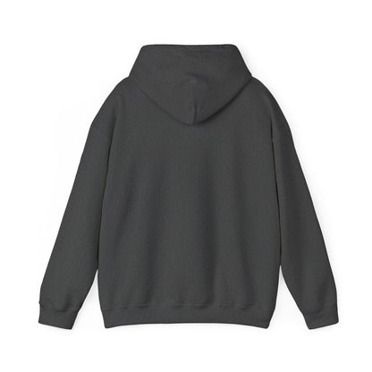 Sudadera con capucha Cozy Adventure - Perfecta para viajes, amantes de la naturaleza, camping, moda unisex, ropa casual suave